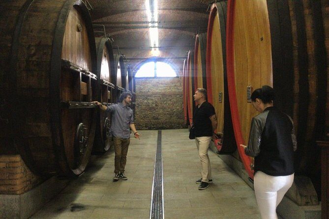 Private tour from Turin: Full day Langhe Region with its Colors and Flavors - Who Will Appreciate This Tour?
