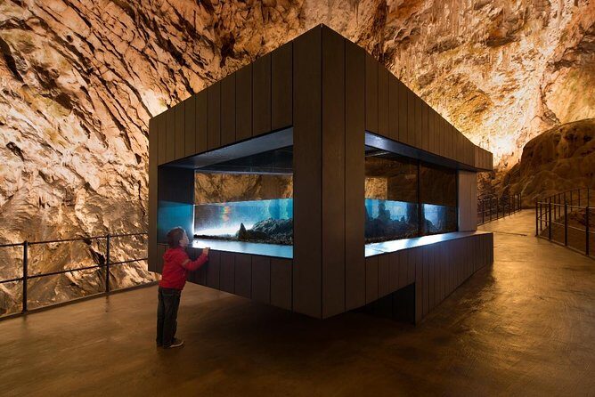 Private Tour from Zagreb: Ljubljana, Postojna & Predjama Castle - Final Thoughts