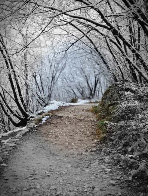 PRIVATE TOUR from Zagreb  Plitvice, Dubovac & Rastoke - The Practical Side: What You Need to Know