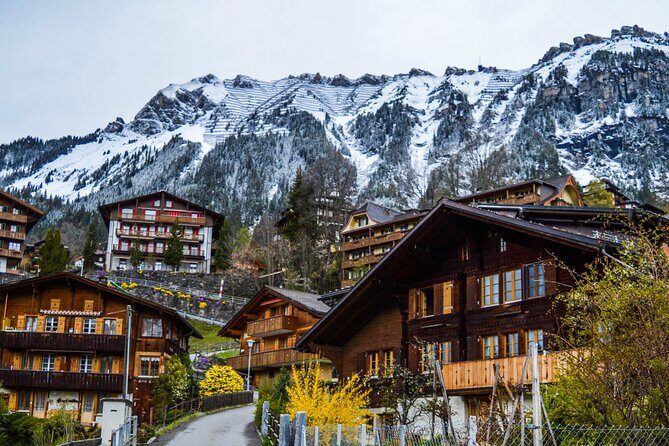 Private tour from Zurich to Interlaken and Lauterbrunnen Valley - Why This Tour Offers Good Value