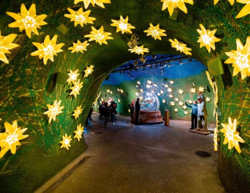 Private Tour from Zurich to Jungfraujoch - The Top of Europe - FAQ