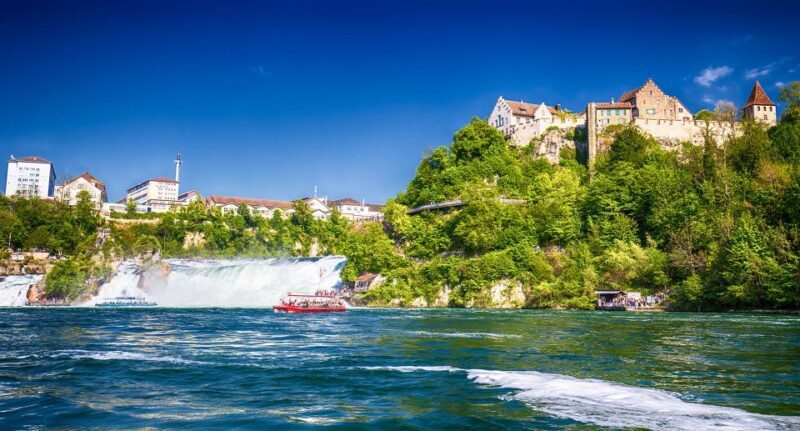 Private Tour from Zurich to Rhine Falls and Black Forest - Analyzing the Value: Price and Experience
