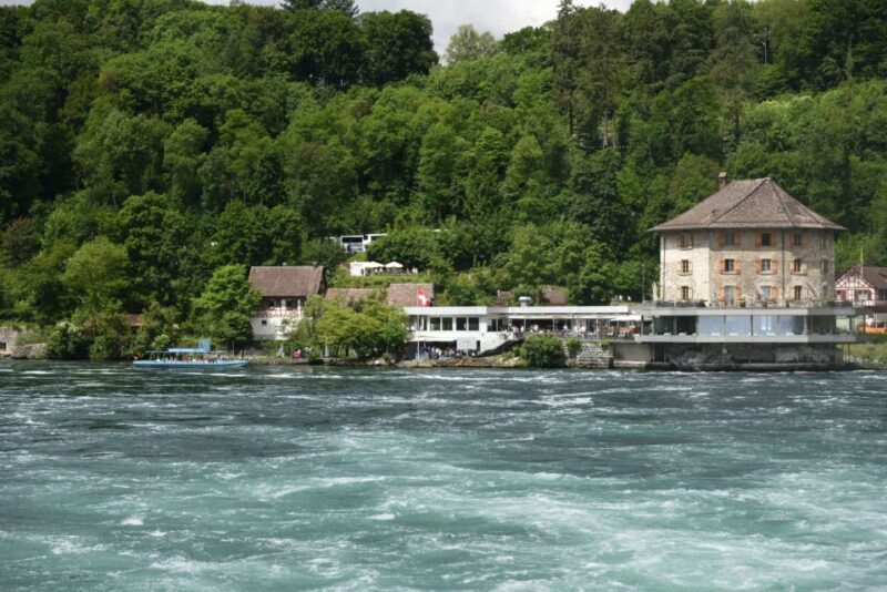 Private Tour from Zurich to Rhine Falls and Black Forest - Final Thoughts