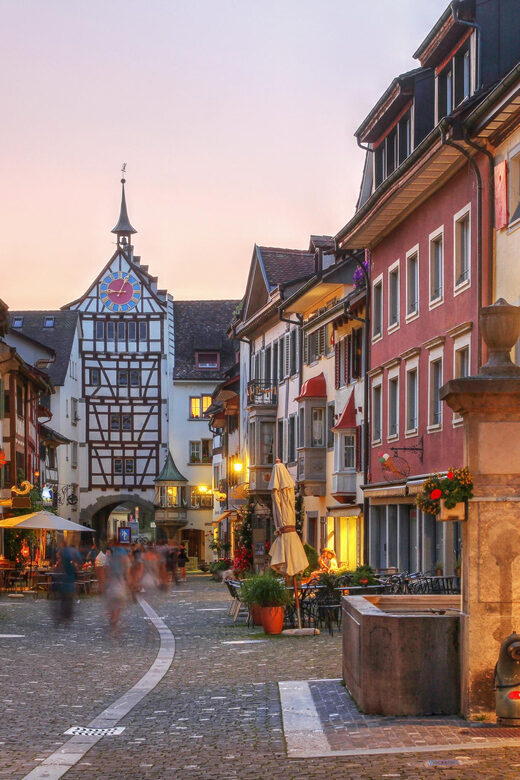 Private tour from Zurich to Rhine Falls & Stein am Rhein - What to Expect from This Tour