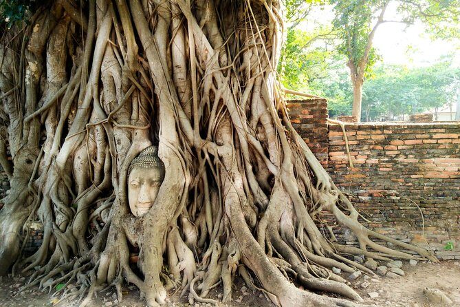 Private Tour: Full Day Ancient City of Ayutthaya and Lopburi - What to Expect on Your Private Tour of Ayutthaya and Lopburi