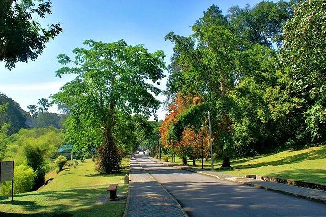 Private Tour: Full Day Center Penang Island Tour - What Makes This Tour Worth Considering?
