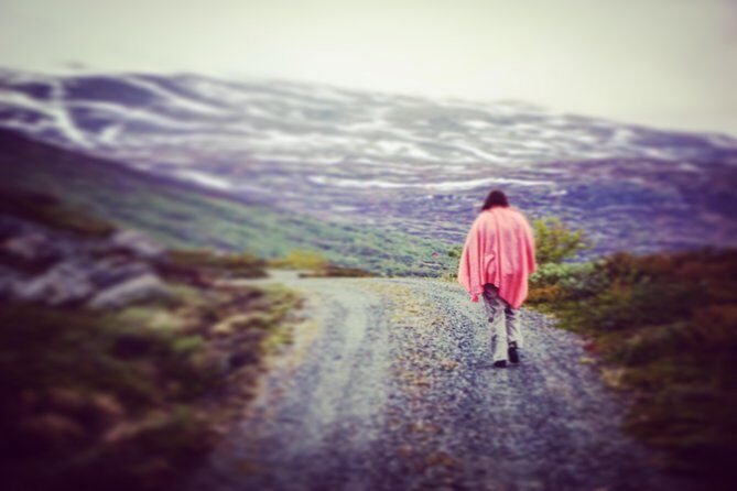 Private tour Geiranger and Glaciers 1 to 15 people - Key Points