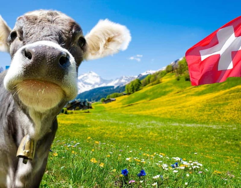 Private tour Geneva-Gruyère's: chocolate and cheese factory - An in-depth look at this Swiss culinary adventure