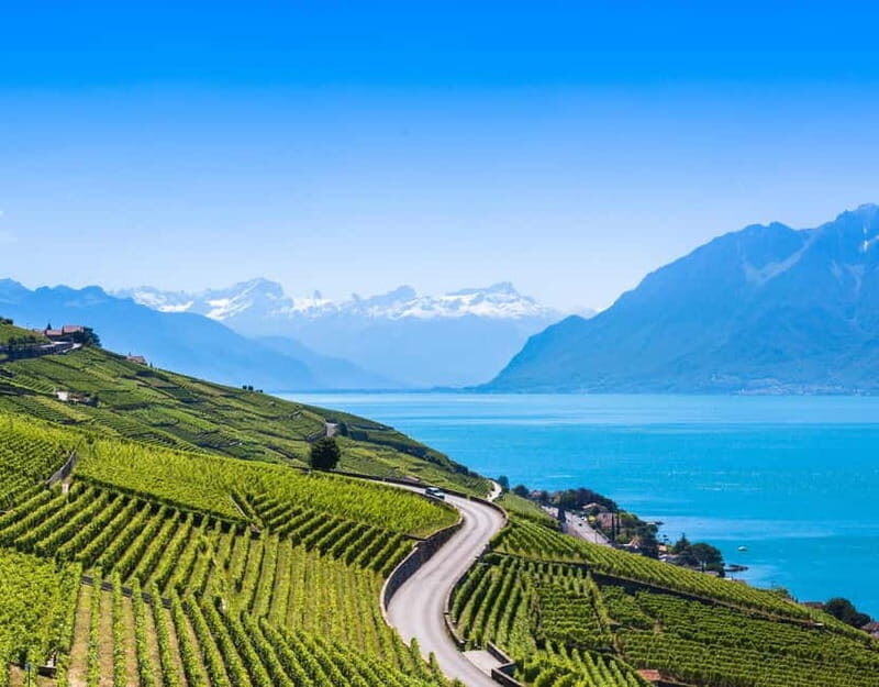 Private tour Geneva-Gruyère's: chocolate and cheese factory - Who is this tour best suited for?