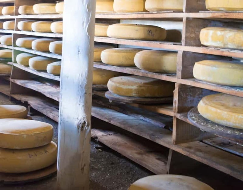 Private tour Geneva-Gruyère's: chocolate and cheese factory - Final thoughts