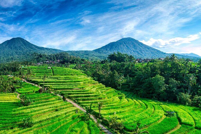 Private Tour: Handara Iconic Gate, rice terrace & Ulundanu Temple - Final Thoughts