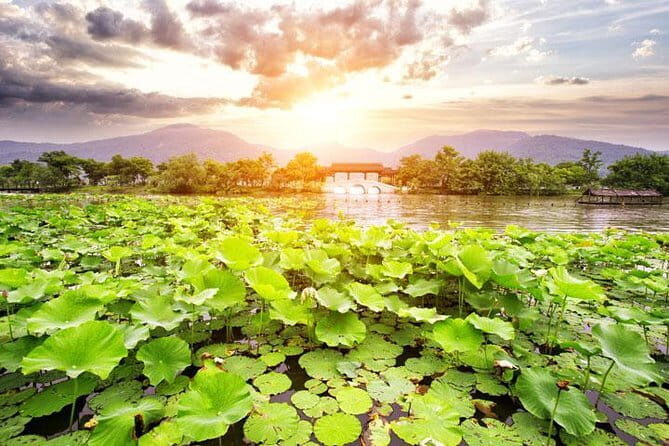 Private Tour Hangzhou West Lake and Tea Fields Discovery - Key Points
