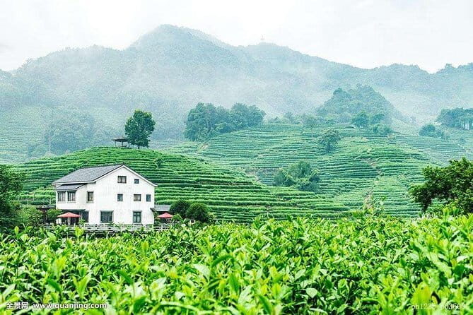 Private Tour Hangzhou West Lake and Tea Fields Discovery - FAQ