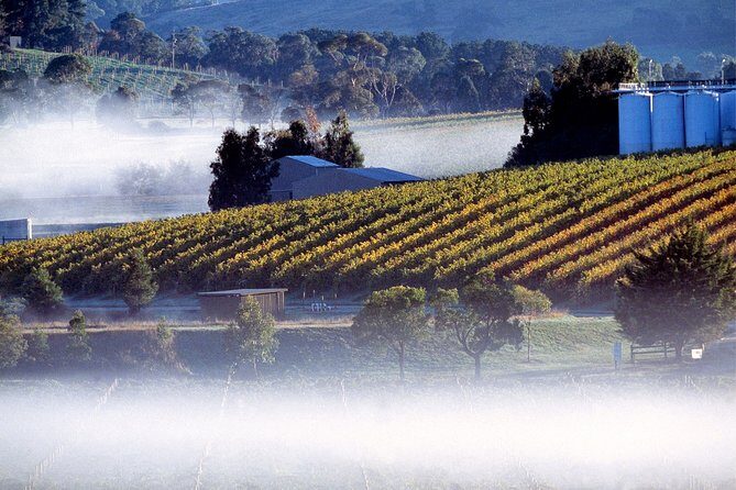 [Private Tour] Healesville Sanctuary Wildlife & Puffing Billy Steam Train - The Sum Up: Who Will Love This Tour?