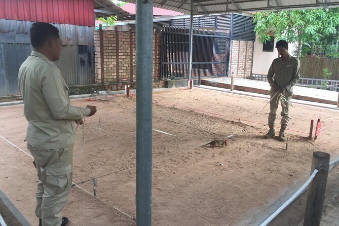 Private Tour: HERO Rats & Angkor National Museum - The Sum Up: Who Will Love This Tour?