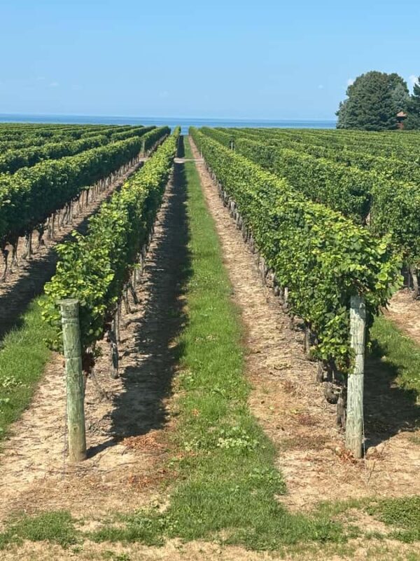 Private Tour: Hidden Gems Wine Tour of Niagara-on-the-Lake - Key Points