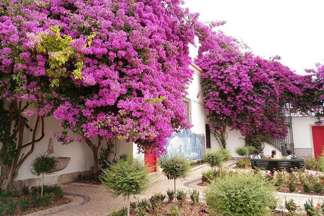 Private Tour: Highlights of Historical Lisbon in 4H with Transfer - Who Would Love This Tour?