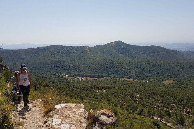 Private Tour - Hike and wine tasting at the Penedés - The Sum Up