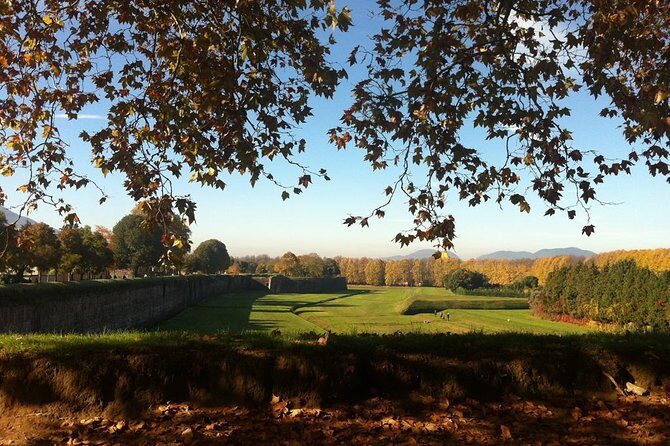 Private Tour: Historic Lucca by bike - Key Points