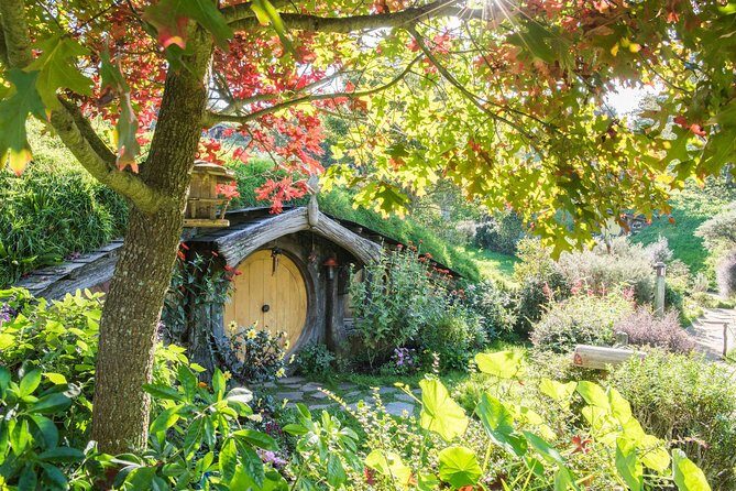 Private Tour - Hobbiton Movie Set & Te Puia (Rotorua) - Comfort and Convenience: The Private Transport