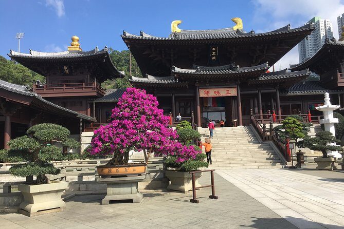 Private tour - Hong Kong's major sites and history - Exploring Hong Kong’s Major Sites and History: A Detailed Review