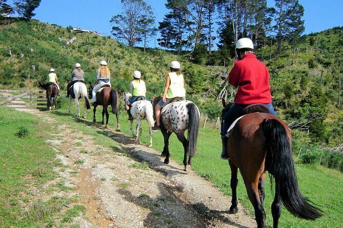 Private Tour - Horse Riding, Wine Tasting and Art Trail - Who Will Love This Tour?