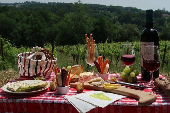 Private Tour in 2cv in the Vineyards with Tasting and Picnic - What Makes This Tour Special?