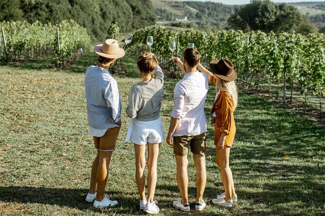 Private Tour in Baja California - A Detailed Breakdown of the Baja Concierge Private Tour