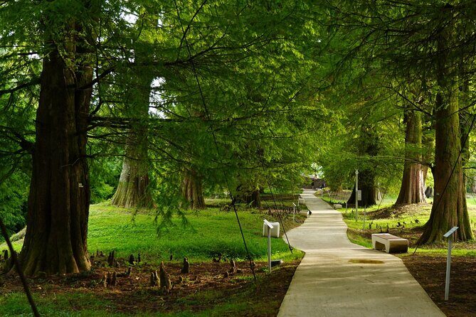 Private Tour in Batumi and Dendrological Park from Kutaisi - FAQs