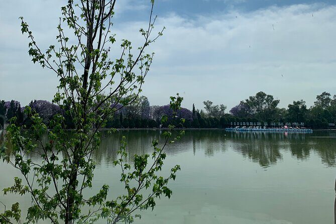 Private Tour in Chapultepec and Museum of Anthropology - Key Points