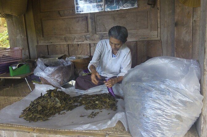Private Tour in Chiang Mai Village Experience Nature - FAQ