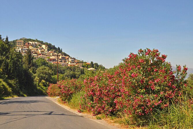 Private Tour in Corfu's Quintessential Highlights - Key Points