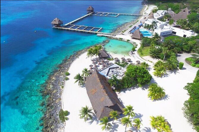 Private Tour in Cozumel in your own way Groups up to 14 People - The Value of a Private, Tailored Tour in Cozumel