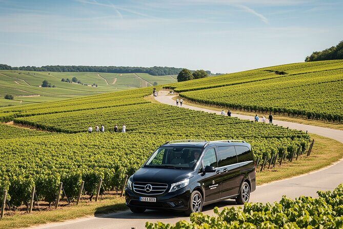 Private Tour in Dijon with your Official Tour Guide - The Value for Money