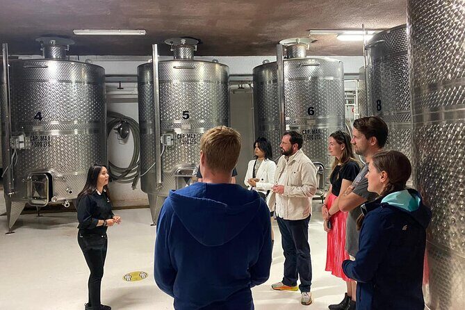 Private Tour in Guadalupe Valley, Vine Yards & Wine Route ENS MX - Key Points