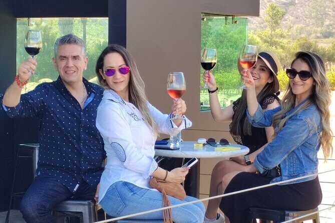 Private Tour in Guadalupe Valley, Vine Yards & Wine Route ENS MX - What Travelers Say