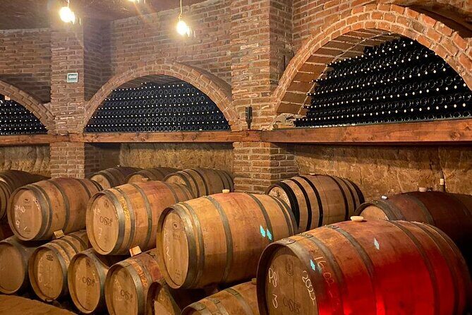 Private Tour in Guadalupe Valley, Vine Yards & Wine Route ENS MX - The Sum Up