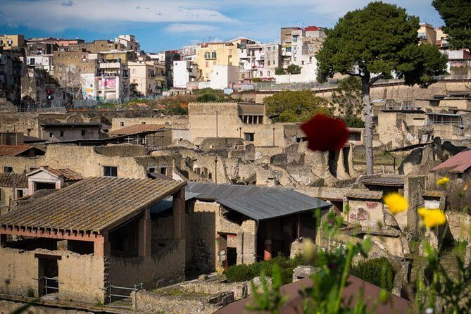 Private Tour in Herculaneum for Families from Naples - Final Thoughts