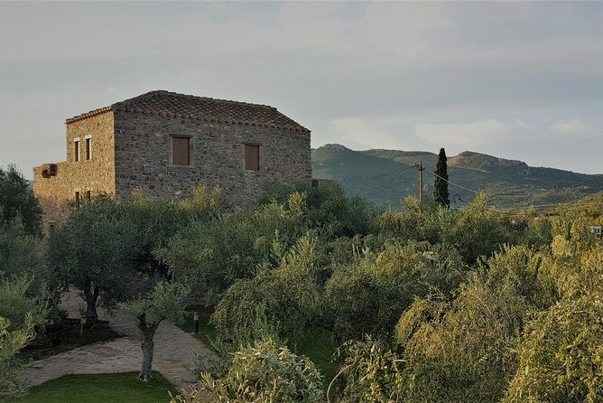 Private Tour in Historic Estate in Monemvasia with wine-olive oil tasting & meal - A Deep Dive into the Experience