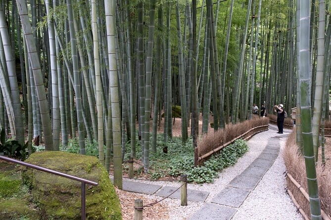 Private tour in Kamakura: Matcha tea tasting & photo shoot - Key Points