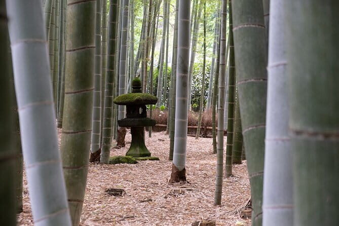 Private tour in Kamakura: Matcha tea tasting & photo shoot - FAQ