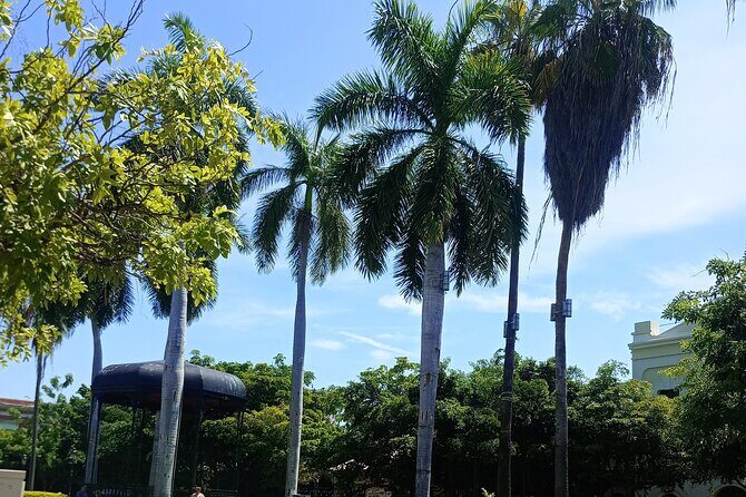 Private Tour in Mazatlan - Final Thoughts