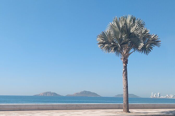 Private Tour in Mazatlan - FAQ