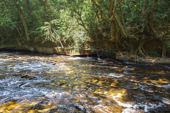 Private Tour in Phnom Kulen National Park - Authentic Experiences and Hidden Gems