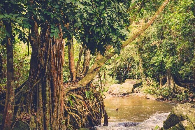 Private Tour in Phnom Kulen National Park - The Sum Up