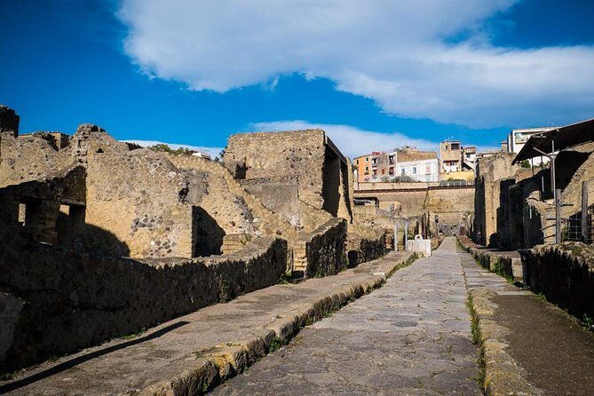Private Tour in Pompeii with Wine and Lunch option on Vesuvius - Frequently Asked Questions