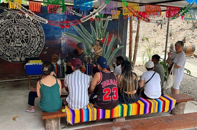 Private Tour in Puerto Vallarta - Authentic Experiences and Cultural Insights