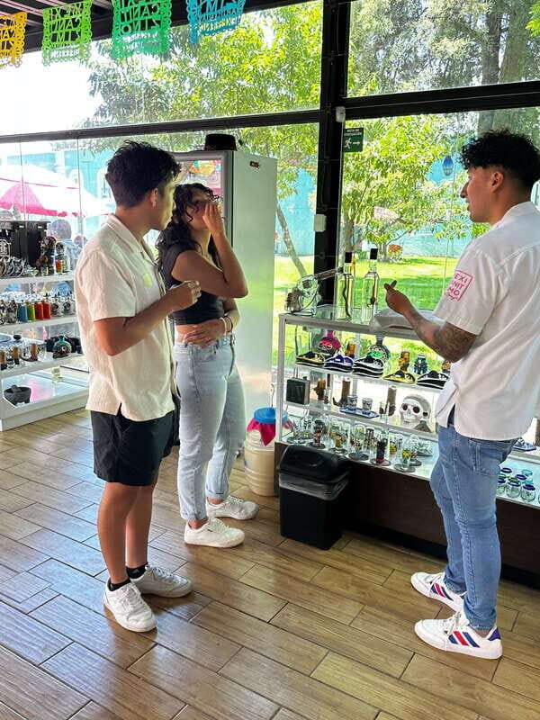 PRIVATE TOUR IN TEOTIHUACAN AND GUADALUPE BASILIC - The Sum Up