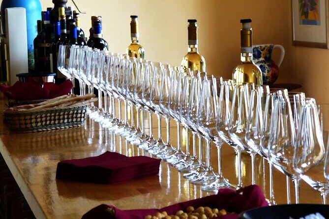 Private Tour in the Cellar and Tasting of Langhe Wines - Additional Visitor Tips