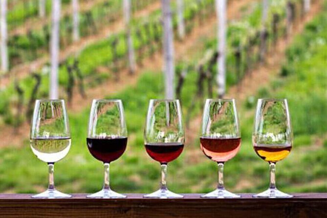 Private Tour in the Douro with Family Vineyards and Miradouro - Key Points